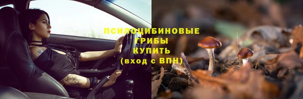 прущая мука Богородицк